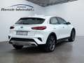 Kia XCeed Sound Edition 1.0 T-GDI Navi Klima LED BT Rückfahr Weiß - thumbnail 5
