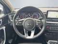 Kia XCeed Sound Edition 1.0 T-GDI Navi Klima LED BT Rückfahr Weiß - thumbnail 12