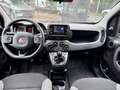 Fiat Panda 1.0 firefly hybrid City Life s&s 70cv 5p.ti Gris - thumbnail 2