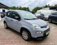 Fiat Panda 1.0 firefly hybrid City Life s&s 70cv 5p.ti Gris - thumbnail 1