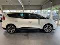 Renault Grand Scenic BUSINESS Edition TCe 140PS Blanc - thumbnail 9
