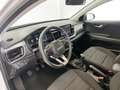 Kia Stonic 1.0 T-GDi MHEV Drive 100 Plateado - thumbnail 22
