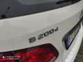 Mercedes-Benz B 200 d (cdi) Premium auto Biały - thumbnail 9