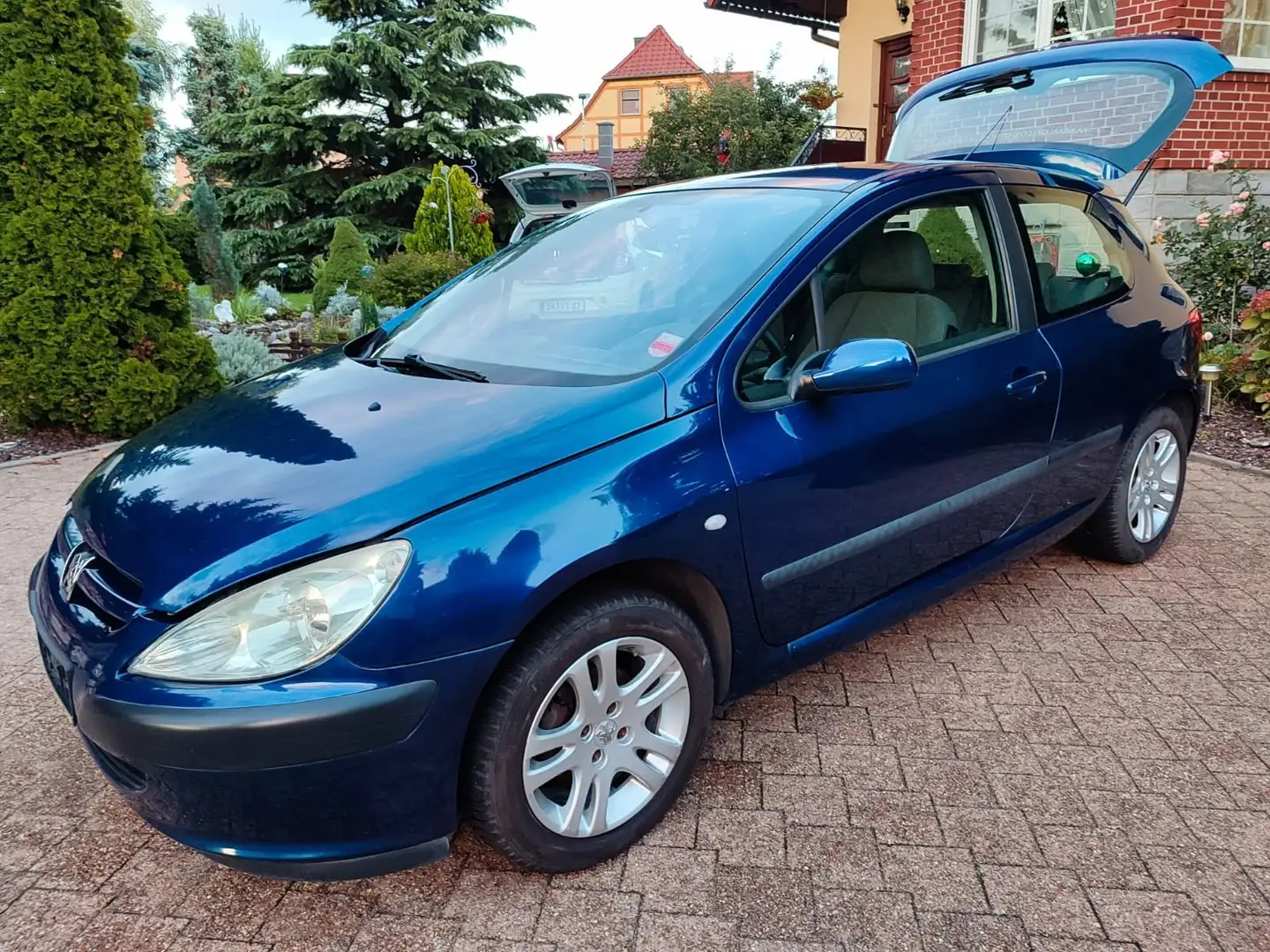 Peugeot 307 Klima Zahnriemen wasserpumpe Kupplung Öl neu Alu - 1