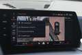 BMW X2 sDrive20i High Executive M Sport Automaat / Panora Groen - thumbnail 20