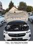 Opel Corsa F Elegance *LED*Totwinkel*SHZ*PD Weiß - thumbnail 15