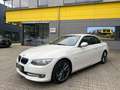 BMW 330 Cabrio LEDER/NAVI/AUTOMATIK/LED/* Weiß - thumbnail 2