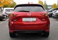 Mazda CX-5 Sports-Line AWD Bose*Navi*LED-Matrix* Rot - thumbnail 5
