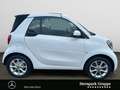 smart forTwo fortwo cabrio passion 90 PS NAVI*KAMERA*SHZ*LED* Weiß - thumbnail 6