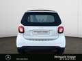 smart forTwo fortwo cabrio passion 90 PS NAVI*KAMERA*SHZ*LED* Weiß - thumbnail 4