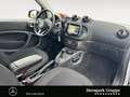 smart forTwo fortwo cabrio passion 90 PS NAVI*KAMERA*SHZ*LED* Weiß - thumbnail 15
