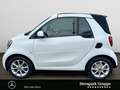 smart forTwo fortwo cabrio passion 90 PS NAVI*KAMERA*SHZ*LED* Weiß - thumbnail 2