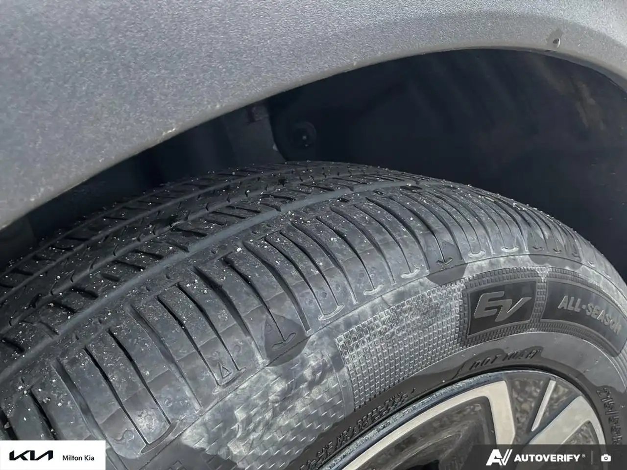 Kia Niro fotografie Kia Niro