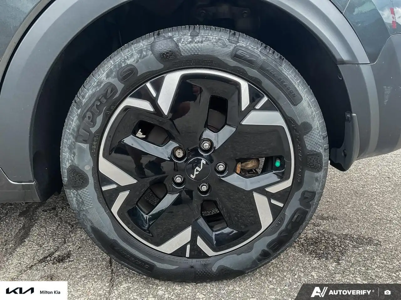 Kia Niro fotografie Kia Niro
