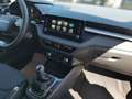 Skoda Fabia Tour 1,0 TSI +FLA+LED+SHZ+W-Paket+SpurH Rood - thumbnail 13