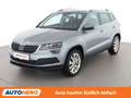 Skoda Karoq 1.5 TSI ACT Style 125 Grau - thumbnail 1