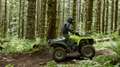 Yamaha Grizzly 700 EPS 2026 Alu - mit Strassenzulassung T3b Grün - thumbnail 11