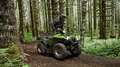 Yamaha Grizzly 700 EPS 2026 Alu - mit Strassenzulassung T3b Grün - thumbnail 8