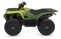 Yamaha Grizzly 700 EPS 2026 Alu - mit Strassenzulassung T3b Verde - thumbnail 5