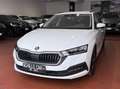 Skoda Octavia 1.4 TSI PLUG-IN HYBRYD EXECUTIVE DSG PREZZO REALE Blanc - thumbnail 1
