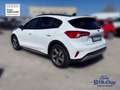 Ford Focus 1.0 EcoBoost 125 CV 5p. Active Bianco - thumbnail 13