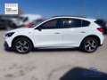 Ford Focus 1.0 EcoBoost 125 CV 5p. Active Bianco - thumbnail 12