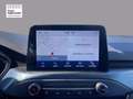 Ford Focus 1.0 EcoBoost 125 CV 5p. Active Bianco - thumbnail 8