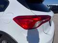Ford Focus 1.0 EcoBoost 125 CV 5p. Active Bianco - thumbnail 18