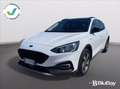 Ford Focus 1.0 EcoBoost 125 CV 5p. Active Bianco - thumbnail 1