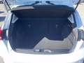 Ford Focus 1.0 EcoBoost 125 CV 5p. Active Bianco - thumbnail 15