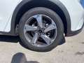 Ford Focus 1.0 EcoBoost 125 CV 5p. Active Bianco - thumbnail 17