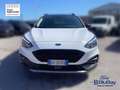 Ford Focus 1.0 EcoBoost 125 CV 5p. Active Bianco - thumbnail 2
