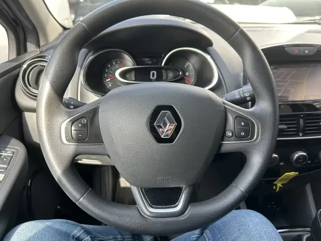 Renault Clio view 15