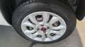 Fiat Panda Panda 0.9 t.air metano Easy Targa GA680XH Bianco - thumbnail 14