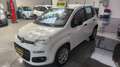 Fiat Panda Panda 0.9 t.air metano Easy Targa GA680XH Bianco - thumbnail 3