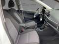 Kia Picanto Vision PE2 1.2 MT Kamera CarPlay Weiß - thumbnail 10