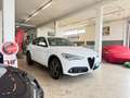 Alfa Romeo Stelvio Stelvio 2.2 Turbodiesel 190 CV AT8 Q4 Sprint Bianco - thumbnail 3