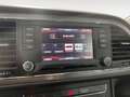 SEAT Leon ST 1.4 TSI S&S FR 125 Gris - thumbnail 19