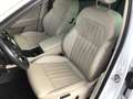 Skoda Superb Style TDI DSG Weiß - thumbnail 6
