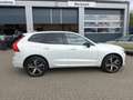 Volvo XC60 T6 AWD R Design Plug-In/StndHz/Kamera/H&K Wit - thumbnail 5