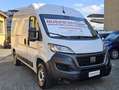 Fiat Ducato 2.2 MTJ3 140 CV  MH2 MIS. INT. CARICO MT. 3,10+IVA Blanc - thumbnail 3