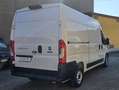 Fiat Ducato 2.2 MTJ3 140 CV  MH2 MIS. INT. CARICO MT. 3,10+IVA Blanc - thumbnail 9