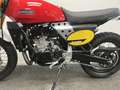 Fantic Caballero 500 SCRAMBLER Rood - thumbnail 16