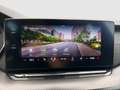 Skoda Octavia RS TDI DSG Grau - thumbnail 23