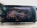 Skoda Octavia RS TDI DSG Grau - thumbnail 24