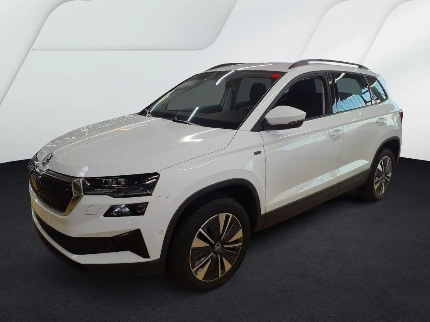 Skoda Karoq 2,0 TDI DSG Tour Matrix/360Kamera Blanc - 1