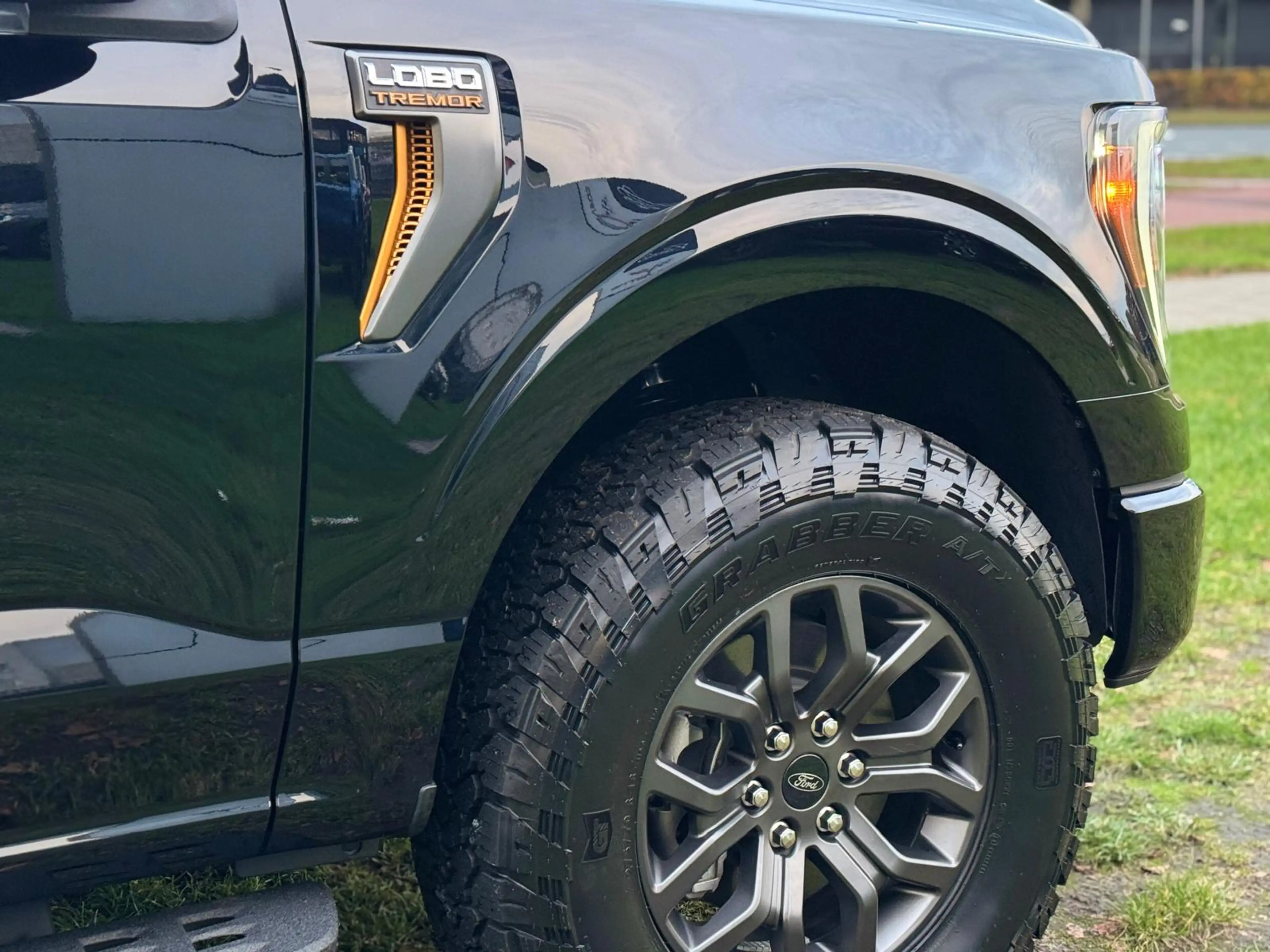 Ford F 150 USA 3.5 EcoBoost Tremor Black Edition BPM-VRIJ — photo 12
