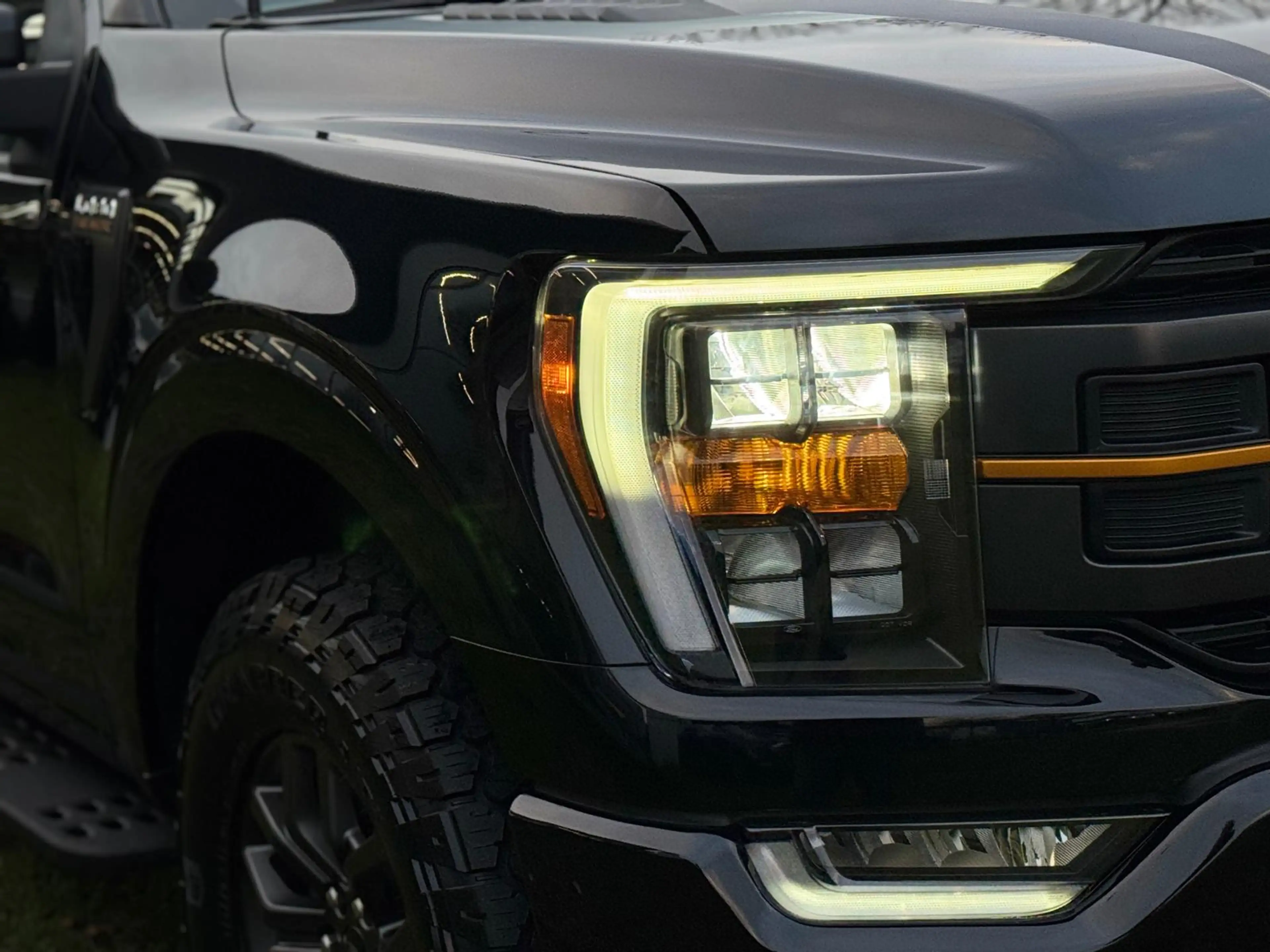 Ford F 150 USA 3.5 EcoBoost Tremor Black Edition BPM-VRIJ — photo 3