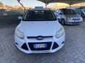 Ford Focus SW 1.6 tdci Plus 115cv - thumbnail 2