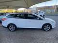 Ford Focus SW 1.6 tdci Plus 115cv - thumbnail 3
